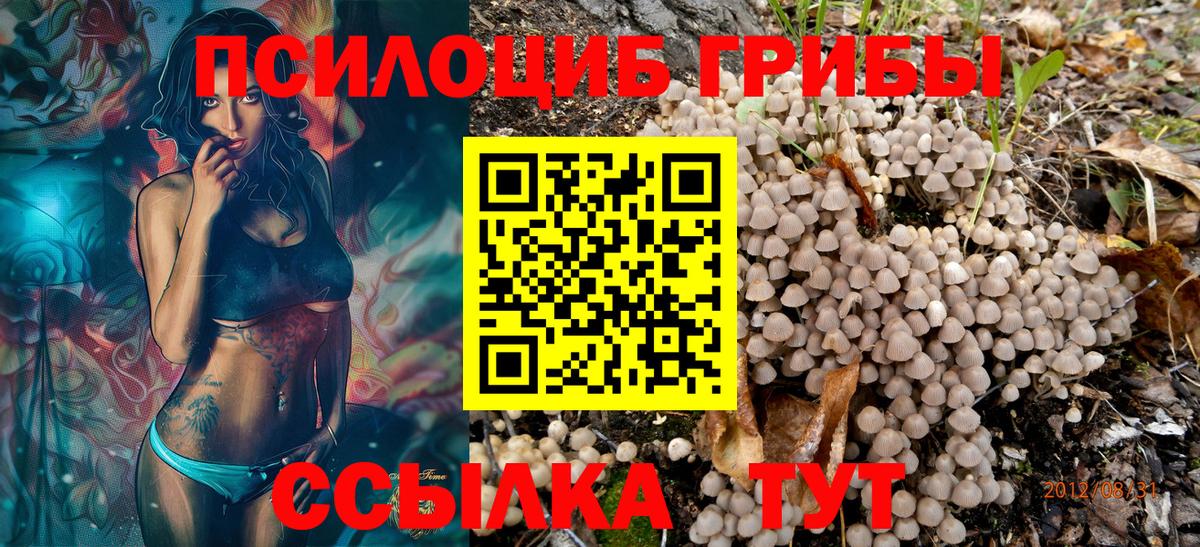 Галлюциногенные грибы ЛСД  Галлюциногенные грибы прущие грибы  закладка  Вход с VPN  Кольчугино 