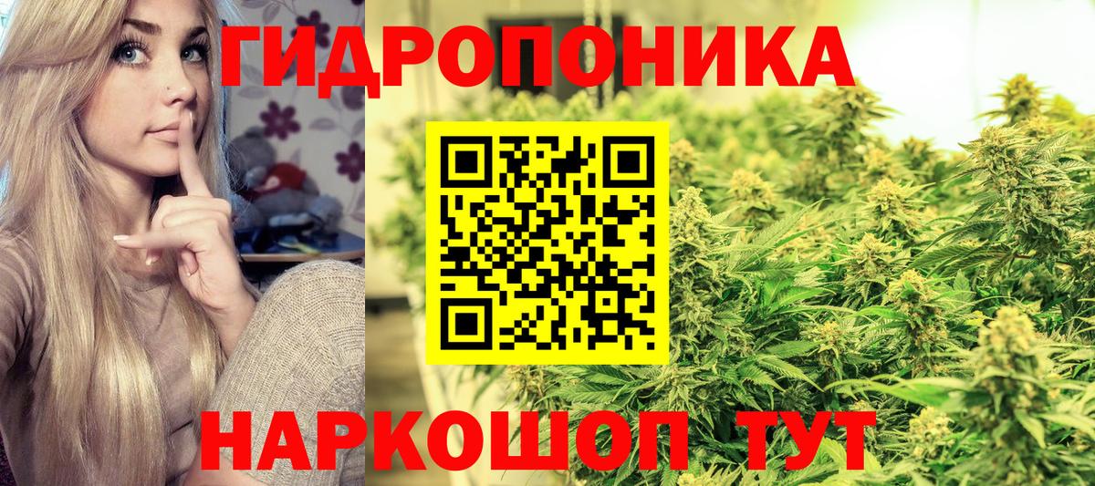 Канабис марихуана  Конопля Amnesia  Вход с VPN  Кольчугино  Бошки Шишки план 